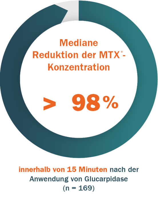 0033-copy-2 0033-copy-2