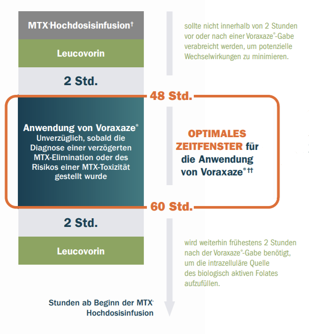 12-copy-copy 12-copy-copy