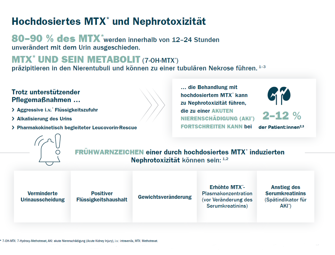 MTX-1-4-copy-copy1 MTX-1-4-copy-copy1